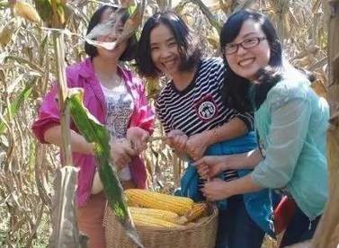2.掰玉米人員25名，要求至少1年工作經(jīng)驗，手腕有勁手指靈活，拉呱時(shí)候能不耽誤干活，皮糙肉厚者優(yōu)先：